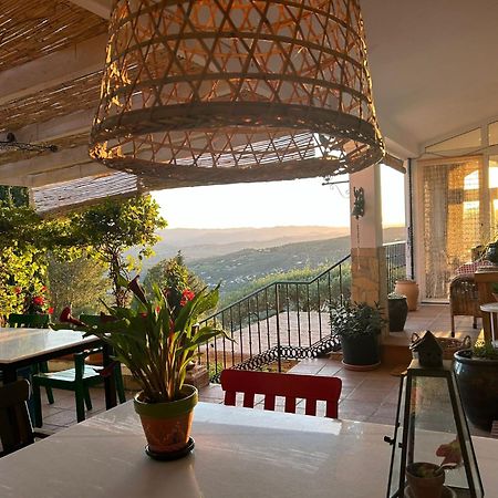 El Nispero Dulce Bed & Breakfast Alcaucín Exterior photo