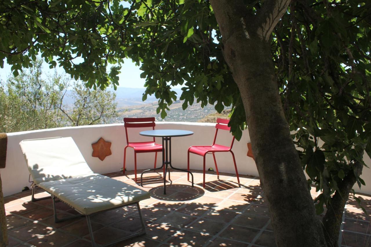 El Nispero Dulce Bed & Breakfast Alcaucín Exterior photo