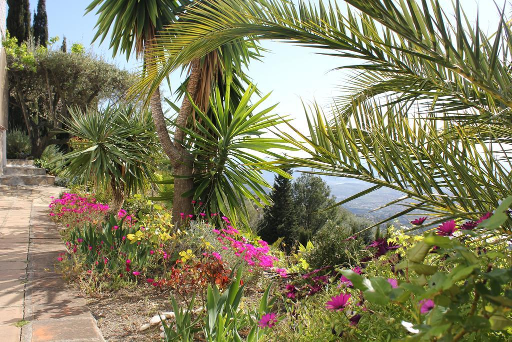 El Nispero Dulce Bed & Breakfast Alcaucín Exterior photo